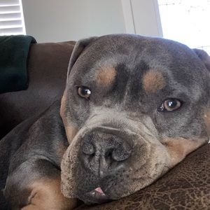 Meet your Posher, Lori